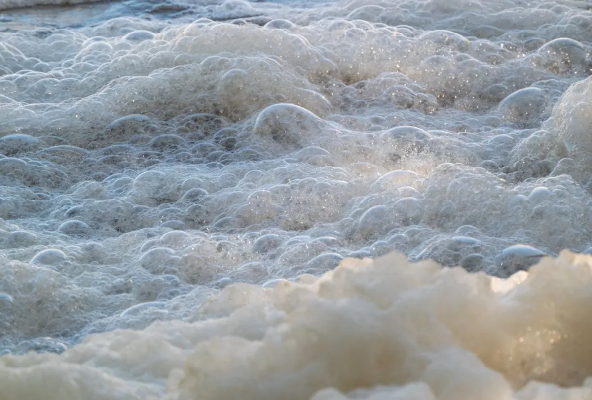 spray foam