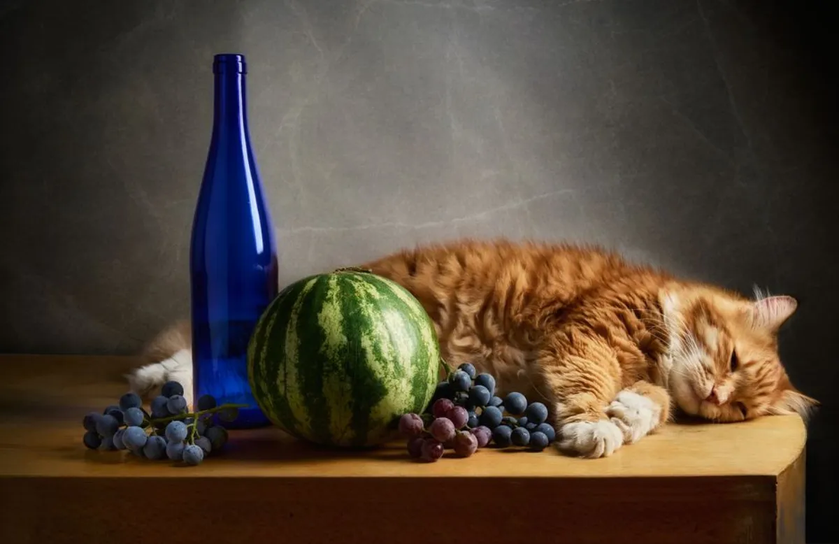 cat melon