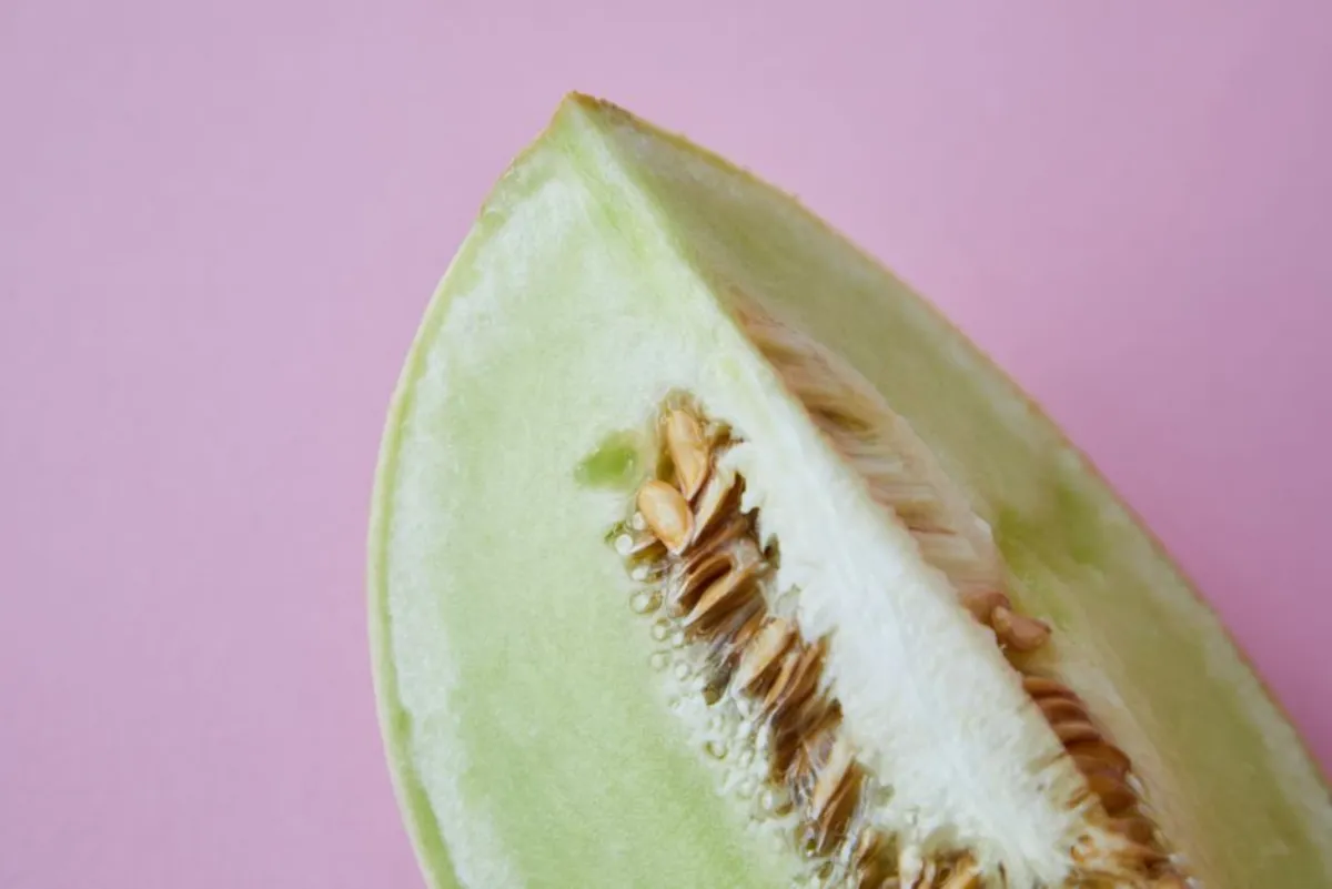 cantaloupe milk