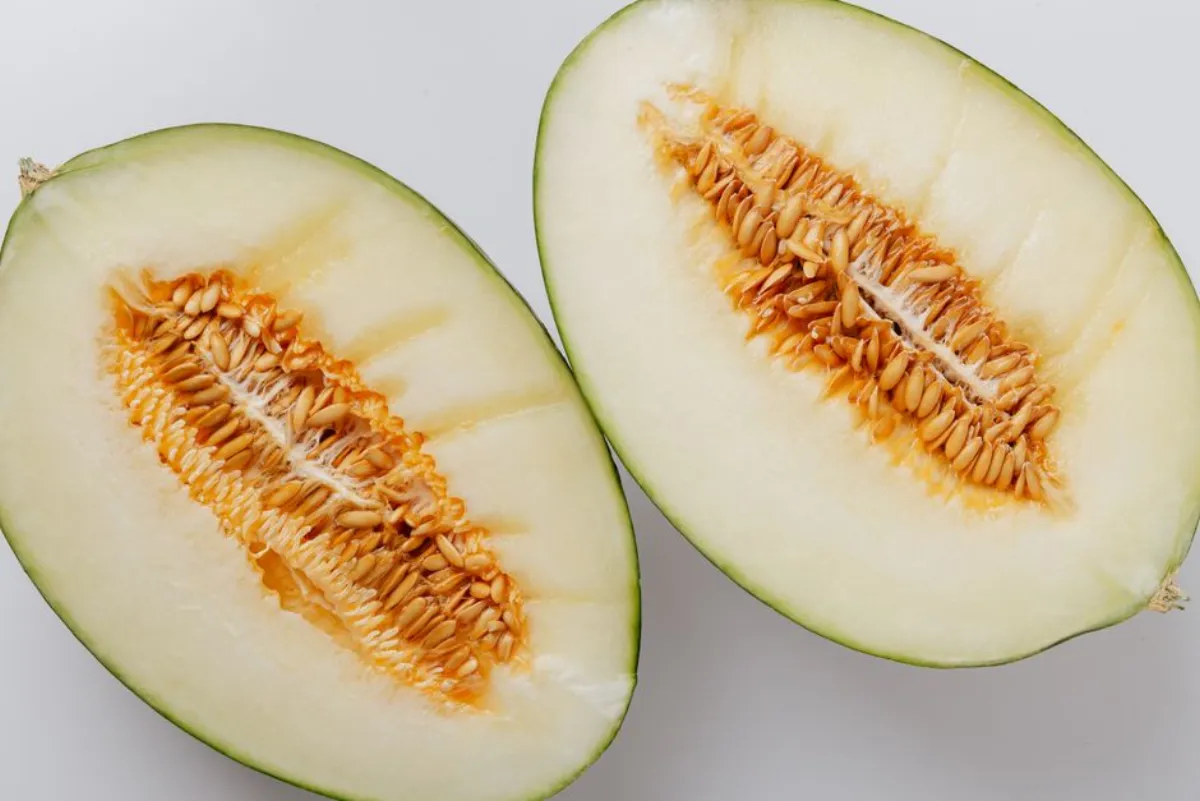 fresh melon