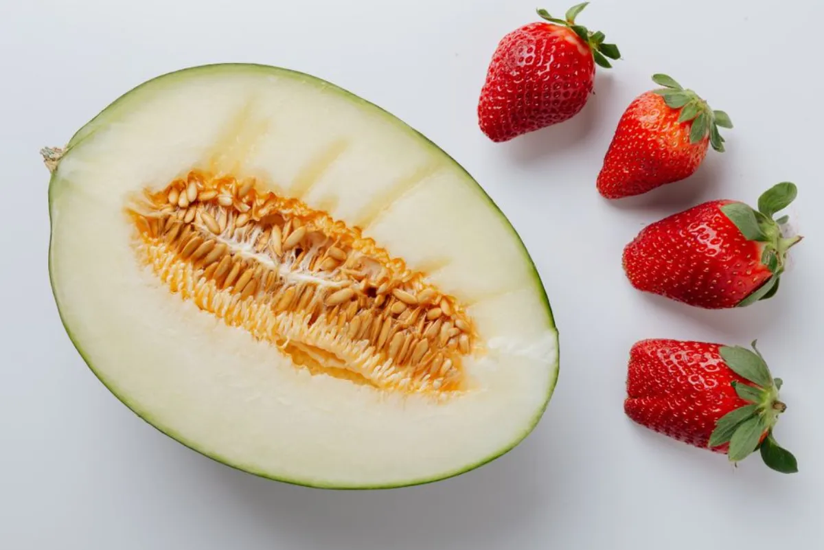 melon dessert