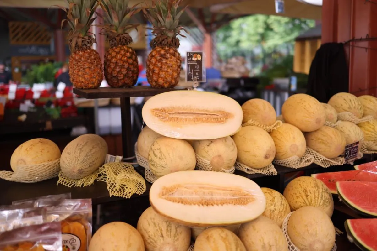 melon slices