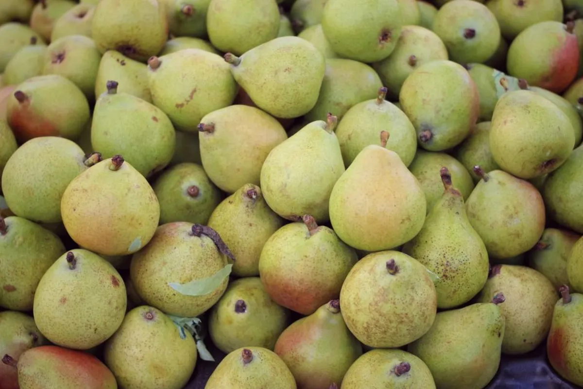 pear market