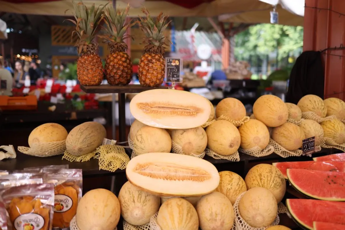 fresh melon